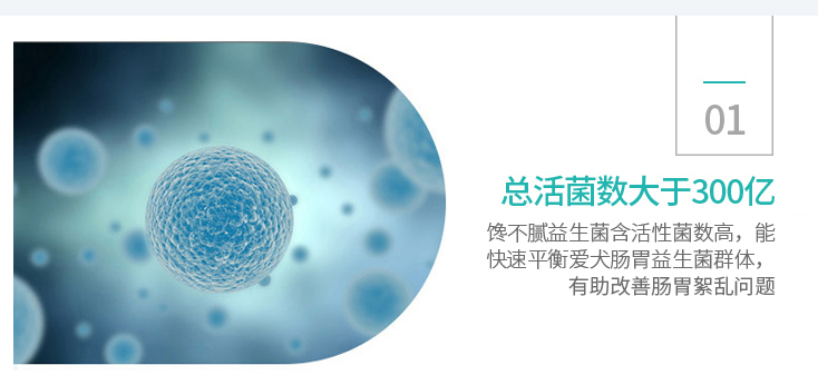 狗狗肠胃弱,如何挑选益生菌?