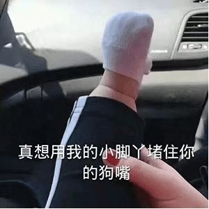 男娃表情包：我可以养你吗？