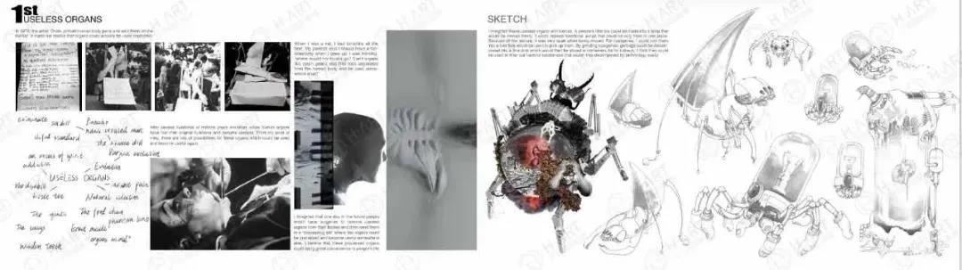 超超超值的艺术留学交换&双学位项目推荐
