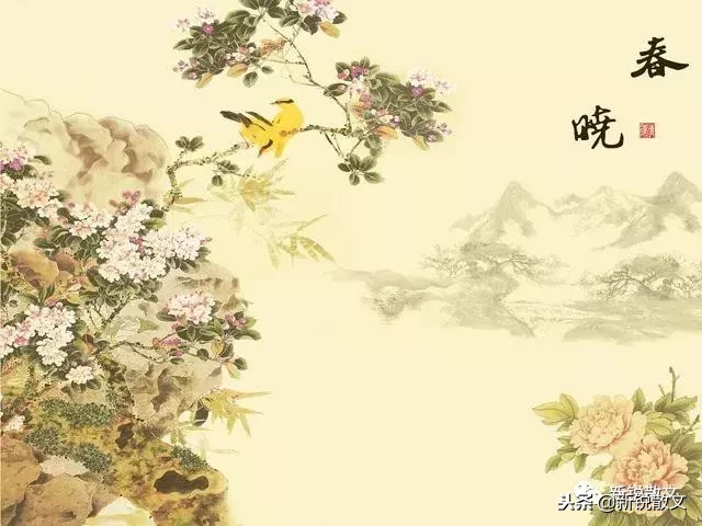 春晓的作者是谁(《春晓》是诗人热爱春天，因叹风雨落花而惜春？这或许只是个误会)