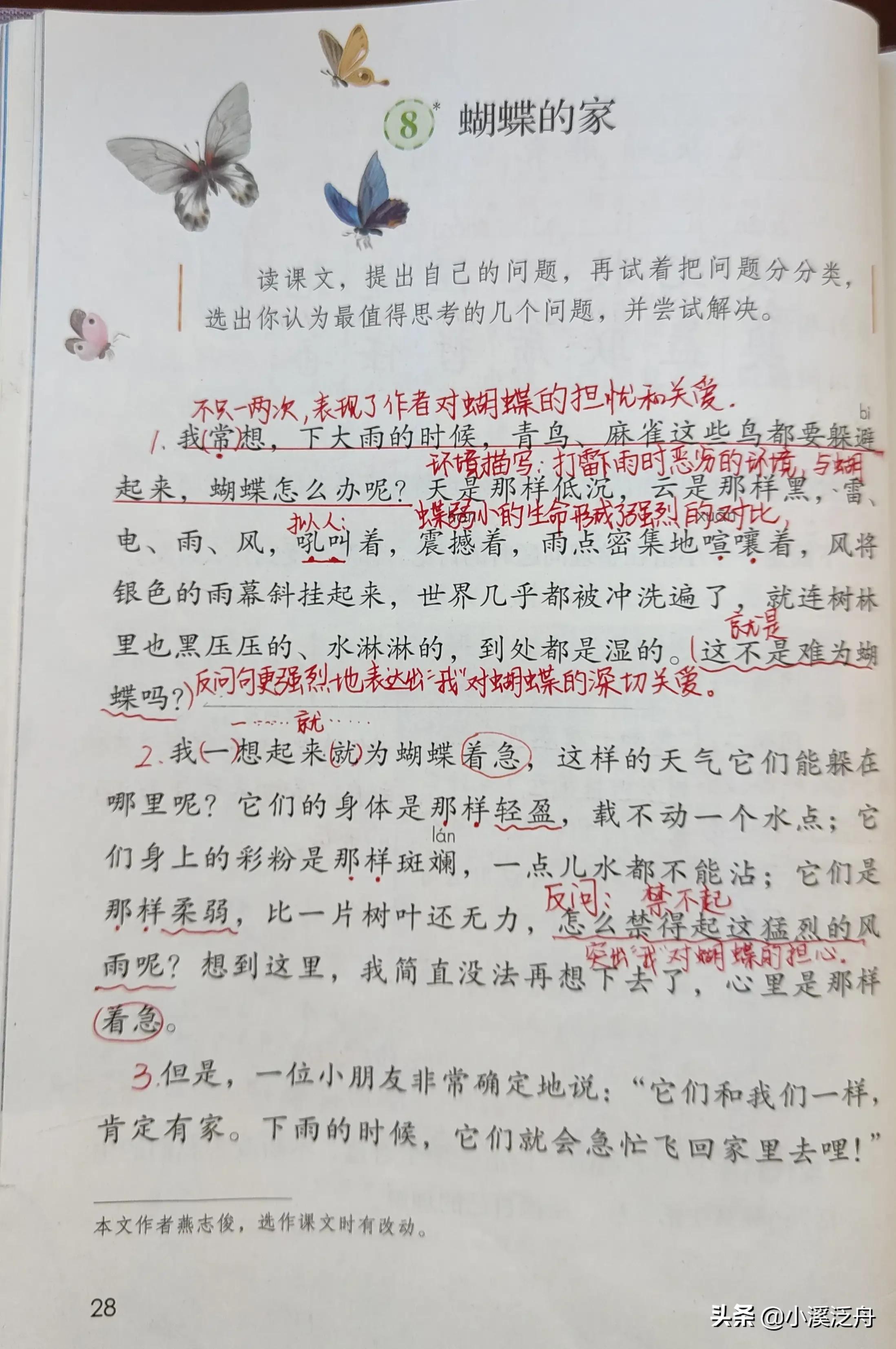 水淋淋的什么填空词语（水淋淋在蝴蝶的家知识点小结）