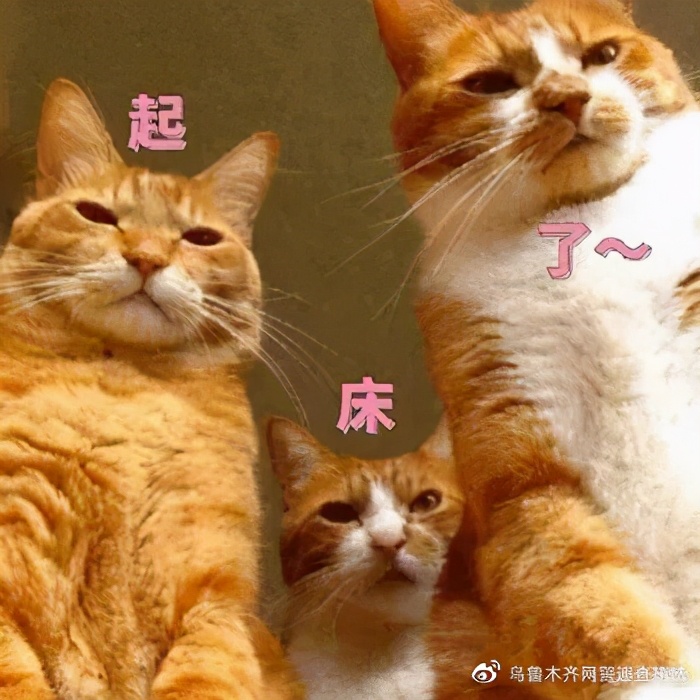 网站虽小，安全保护义务可不小！