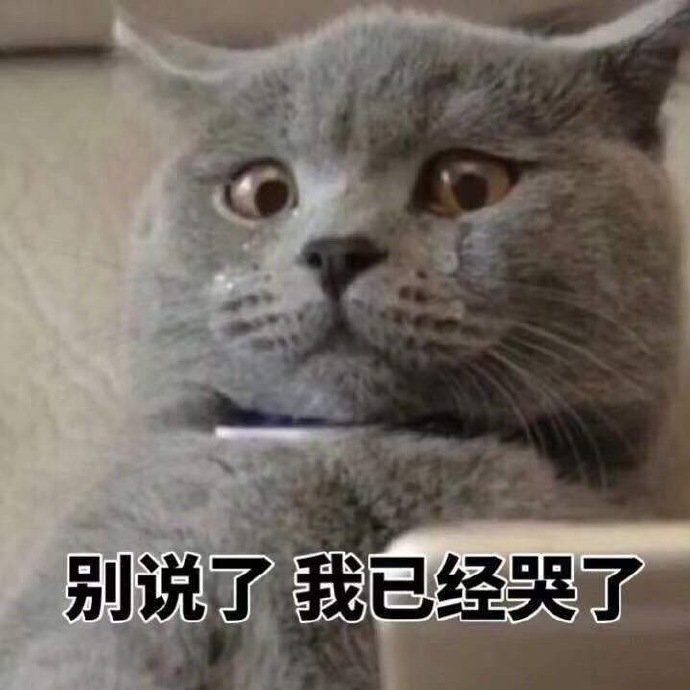 猫咪表情包合集我太难了