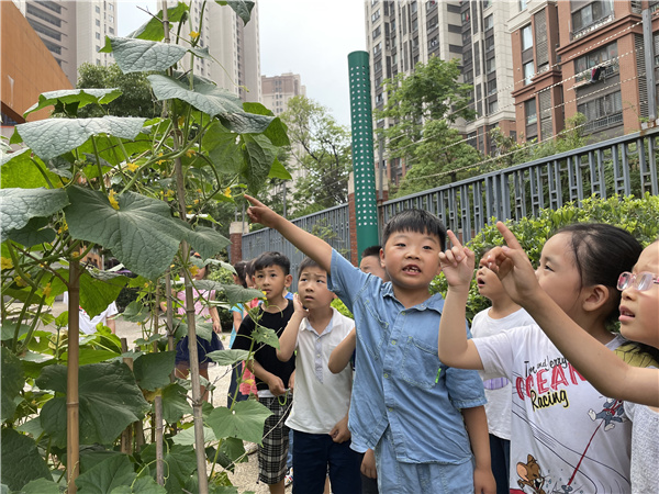 幼儿园毕业季：点亮微心愿 实现小梦想