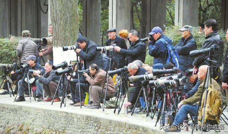 心如荷花天地宽，人生一笑岁月长；医海无涯必励钻，博采勤收受益