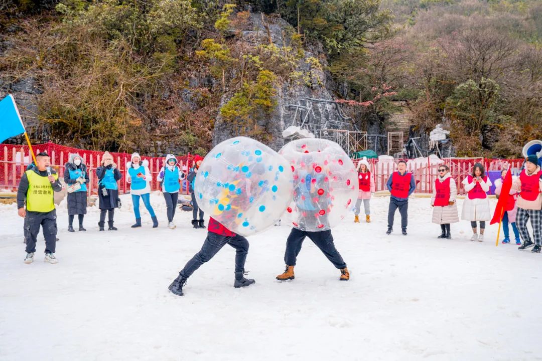 冬雪落下的刹那，金佛山美成了童话！