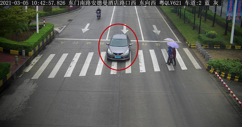 交通违法曝光！