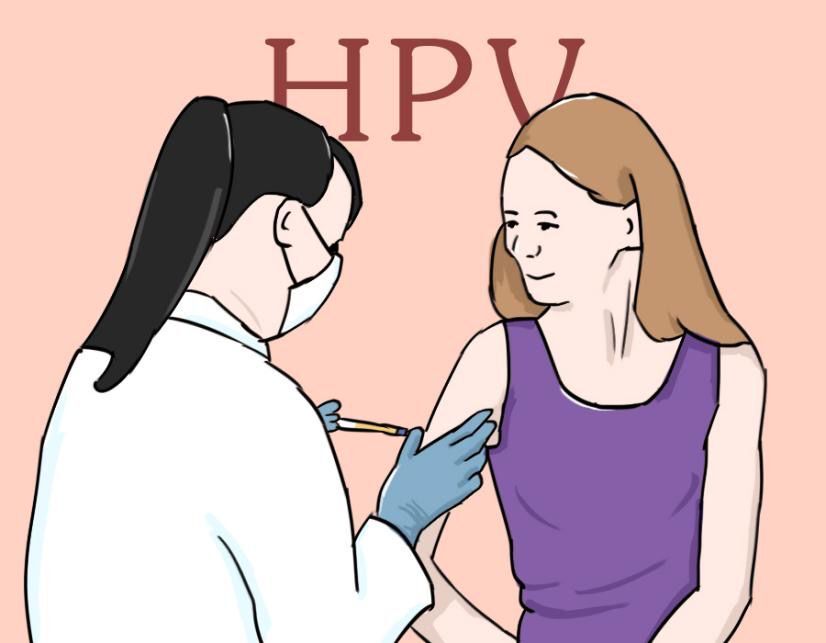 二价四价九价区别(二价、四价、九价HPV疫苗是什么？生完孩子有没有必要接种？)