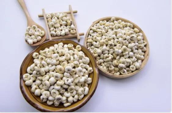 川贝母的功效与作用及禁忌(川贝虽好,但是这两类人不适宜用,否则会越