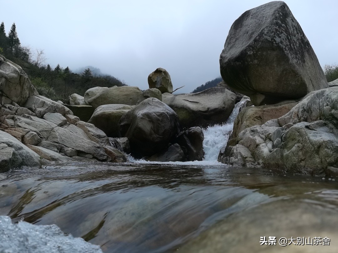 大别山采茶日记，茶季总结：茶歇犹依依，回首数峰青