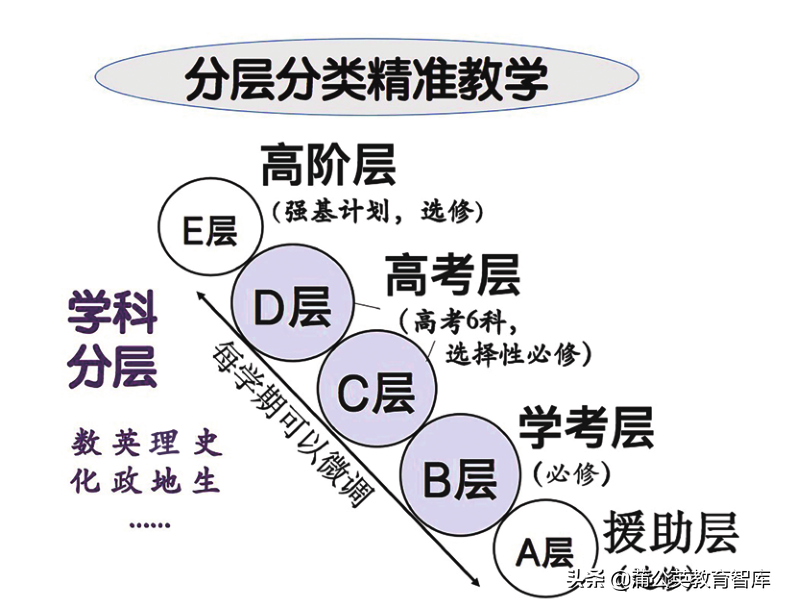 一场组织架构创新，让学校高质量发展不再是“空中楼阁”