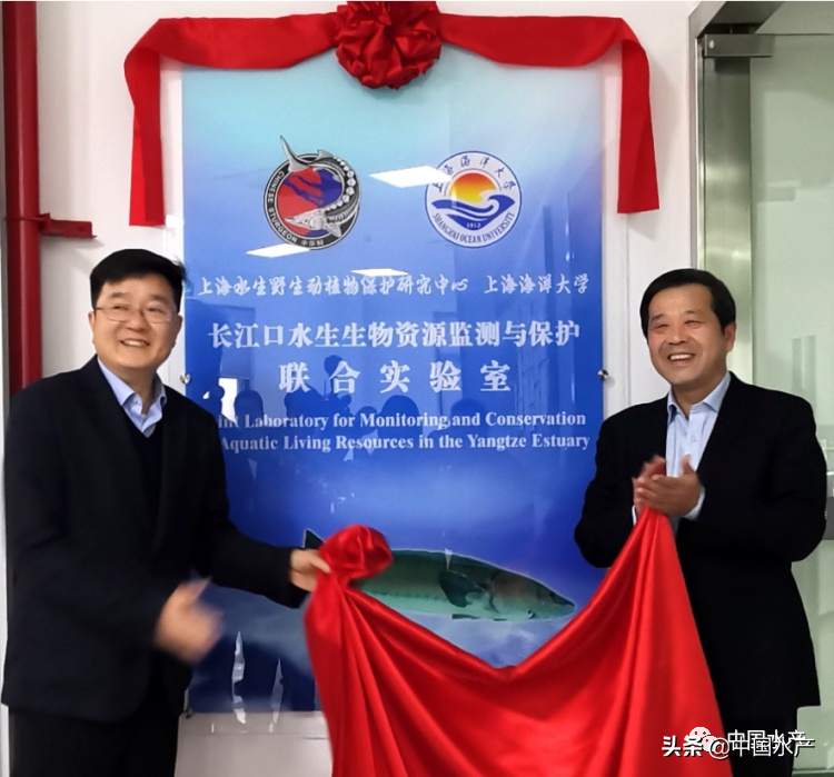 从“谁来养活中国”到“水产养殖业对世界是一个重大贡献”的伟大进步