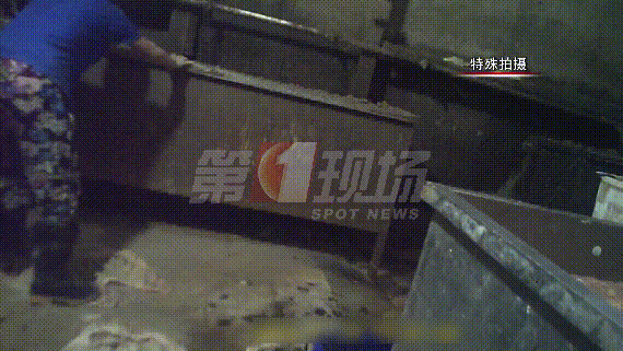 吃饭时勿点！用脚踩、用生石灰泡，这些老牌火锅店的牛肚清洗方法曝光