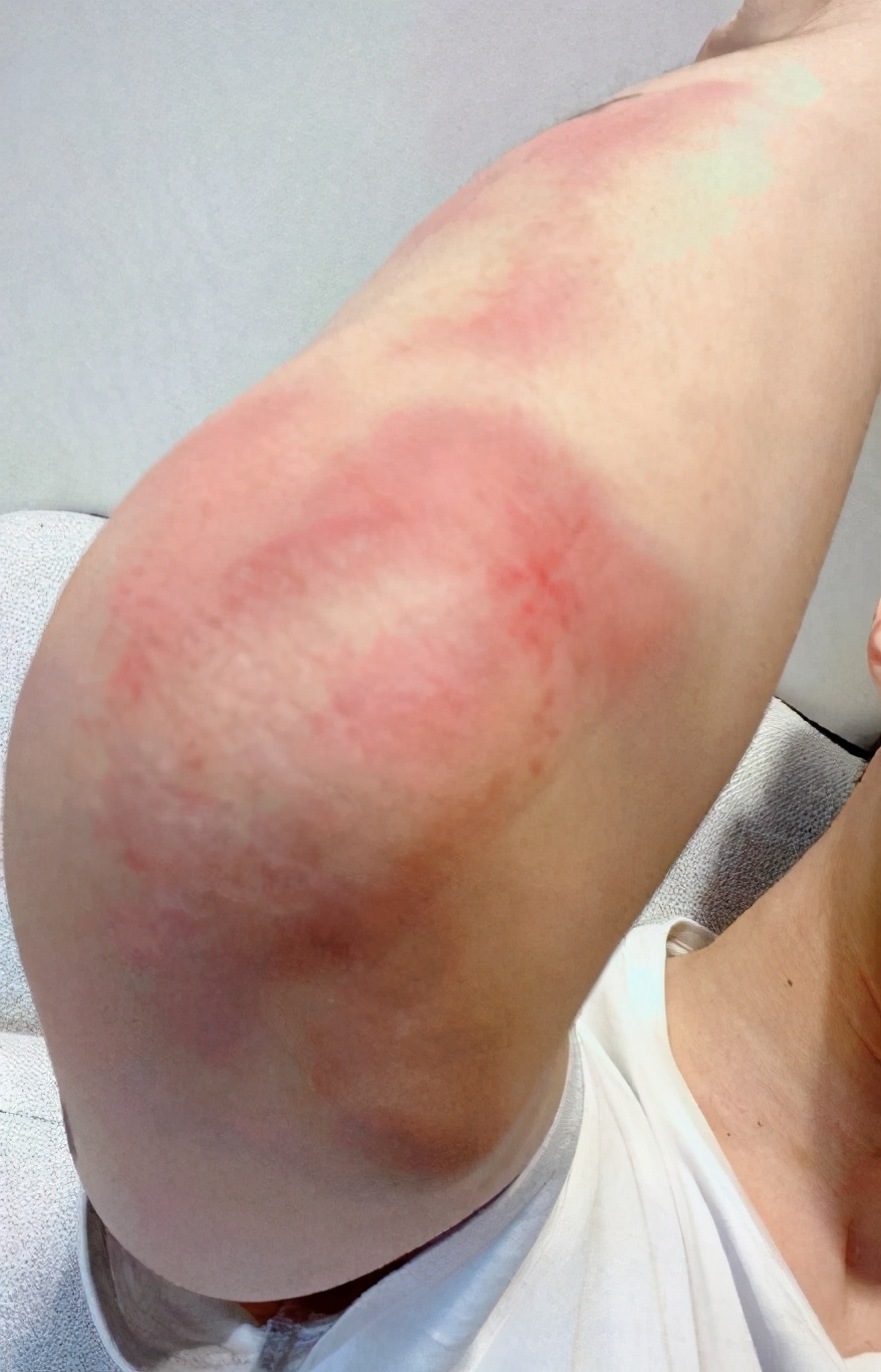 预定顶流？盘点未播双男主剧中的潜力股，谁将成为“财富密码”？