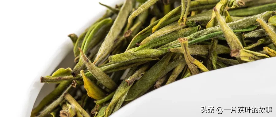 十大名优绿茶背后的传说，你知道几个？