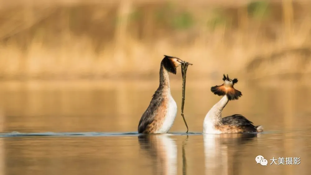 干货 | 7种常见又实用的摄影构图方式，速速收藏