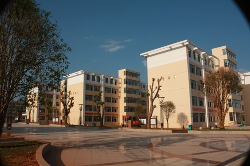 2019年会昌中学高考喜报