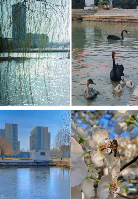 超心动！直击天津魅力高校，四季坐拥神仙颜值！网友：别人家的学校！