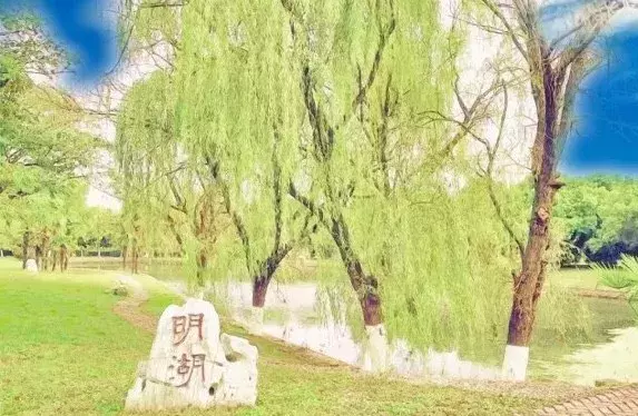 【热点】六月，你毕业于江北新区