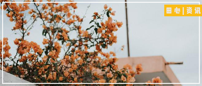 终于录取啦！最接近真实的川大新传报录比为…