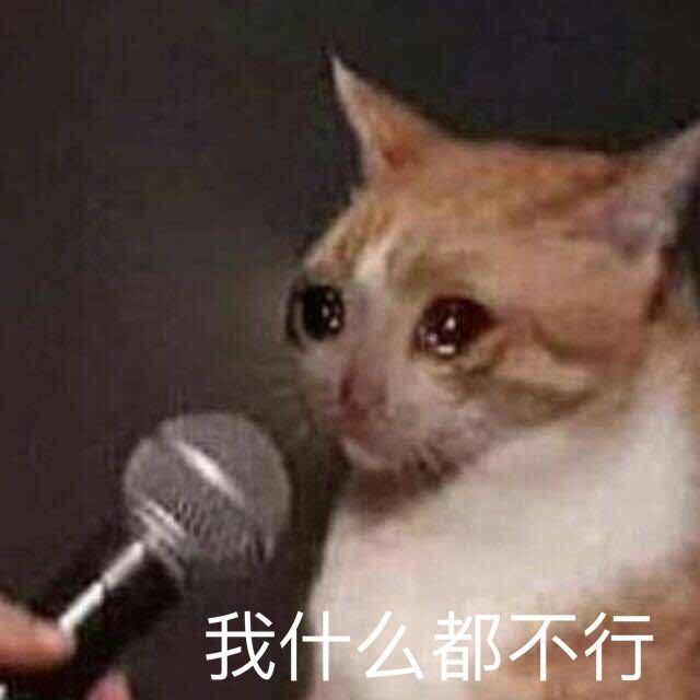 猫咪表情包合集你这是想干嘛呀？