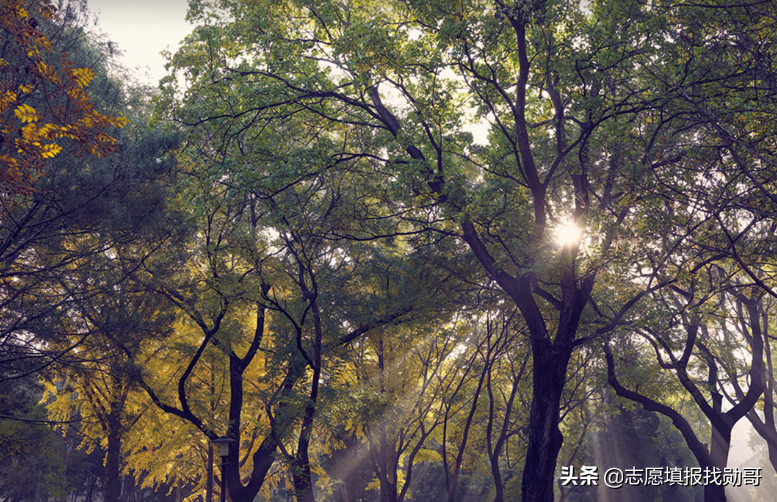 西安交通大学机械工程学院（想学机器人工程）