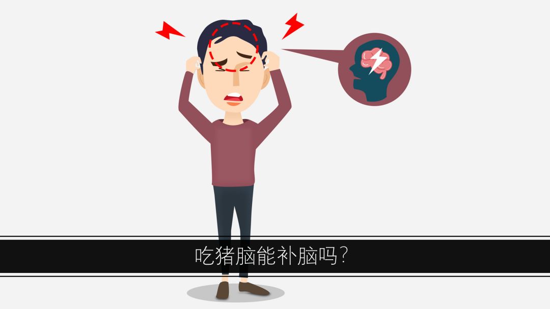 真的能补脑吗?