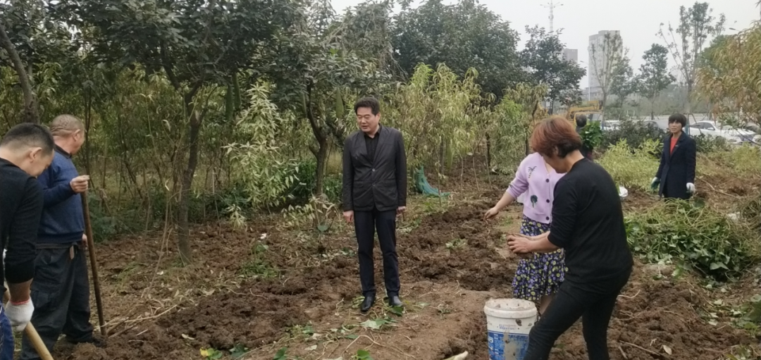 卧龙区光武街道全力推进“四改一拆”工作