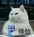 斗图表情包精选33张:你这表情包不行啊还有水印