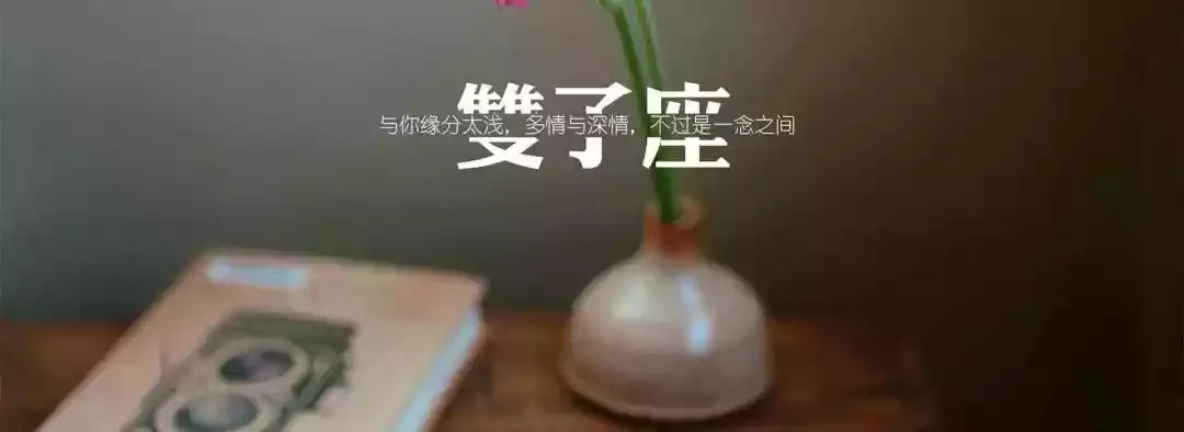 双子：外表有多花心，内心就有多深情