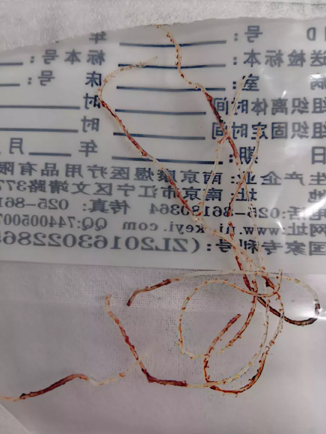 记者暗访私人微整形:零基础三五天速成,无资质只需交6800元