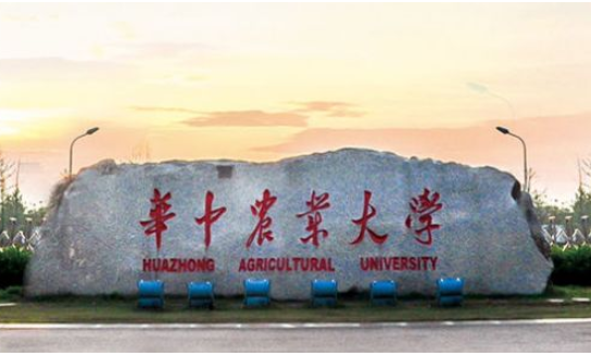 高校食堂四十元吃不饱，食堂菜价堪比酒店，原因为何