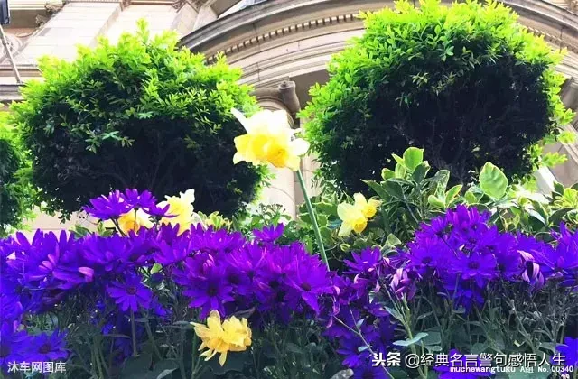 亲情,永远最重要