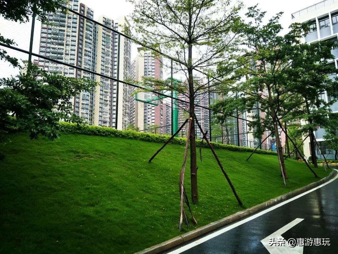 惠州十大最美校园强势来袭，你的母校上榜了吗？