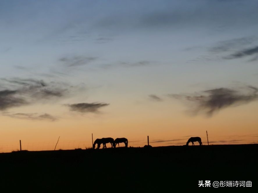 花在草原诗在心：金秋内蒙之旅古典诗词曲拾零悠情