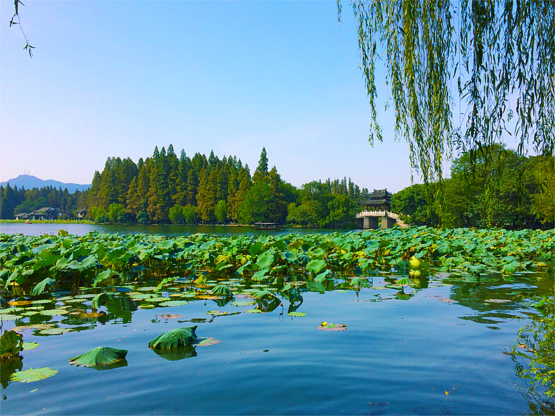 杭州有几个5a景区（杭州5a景区数量） 千梦