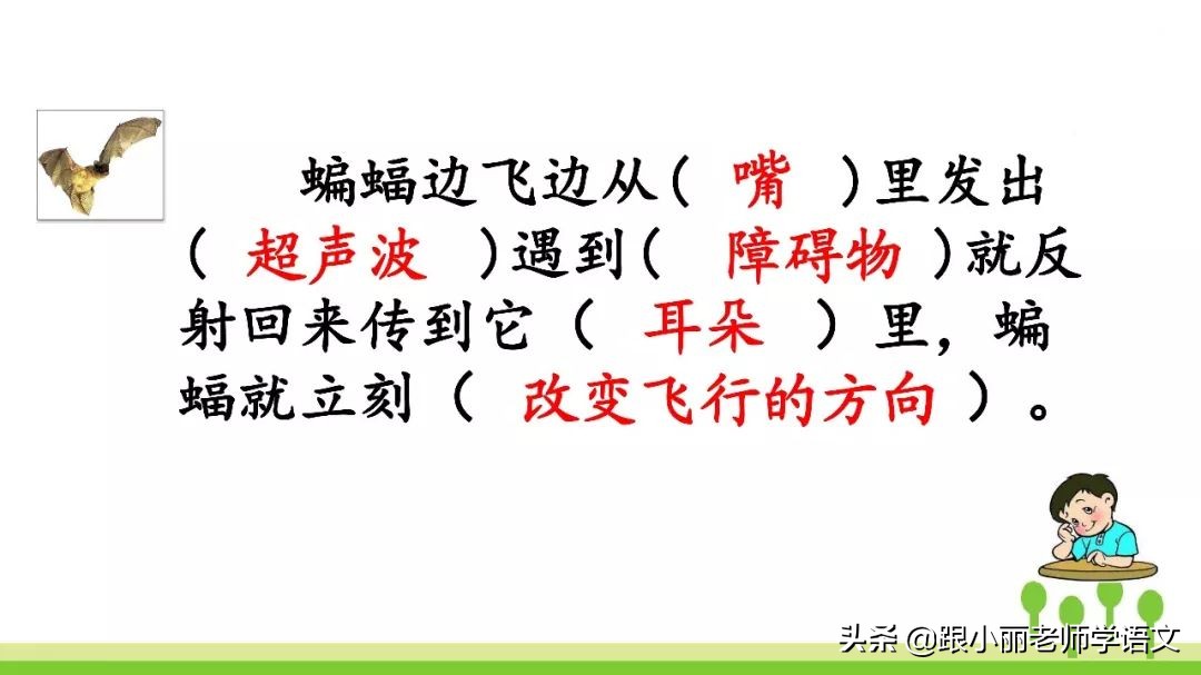 蝙蝠和雷达的名人名言