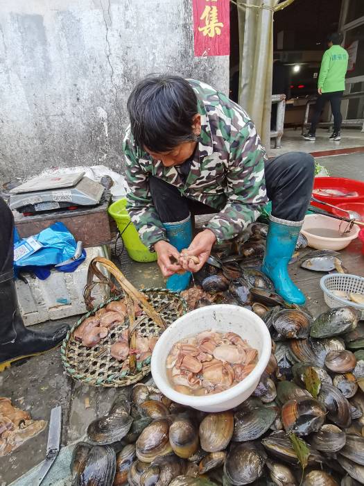 河蚌豆腐湯的做法,河蚌豆腐湯的做法大全