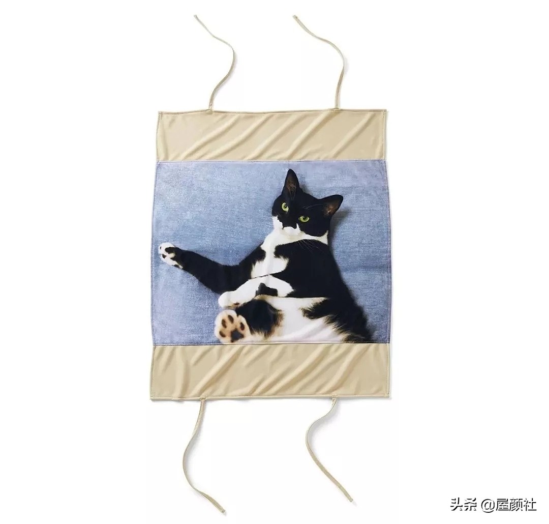 没有做不到只有想不到，猫奴国日本的定制系家居，撸猫也瑟瑟发抖