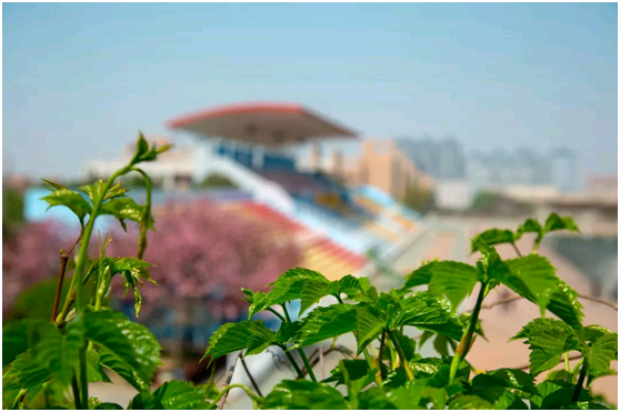 基因强大！陕西6位