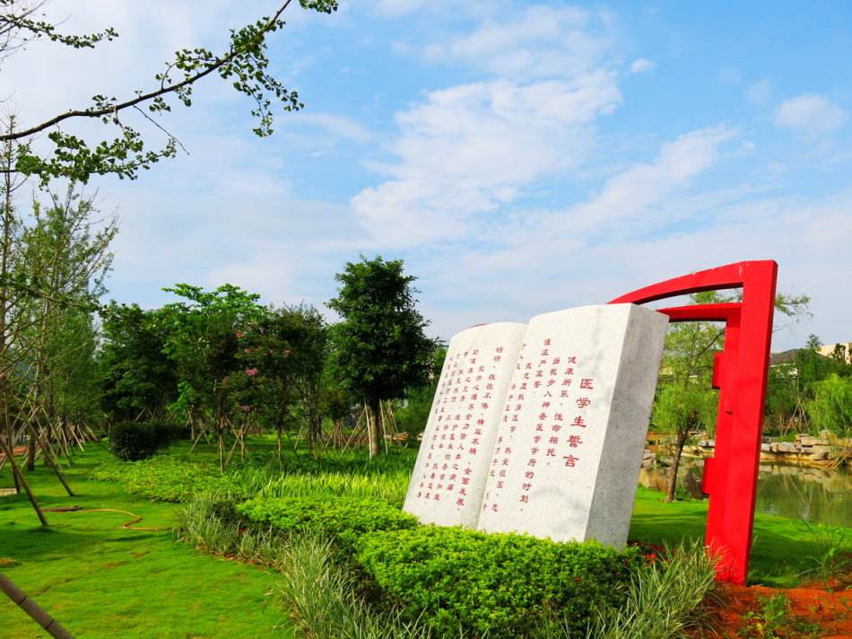 桂林医学院2020届本科毕业生：41.01%到基层就业