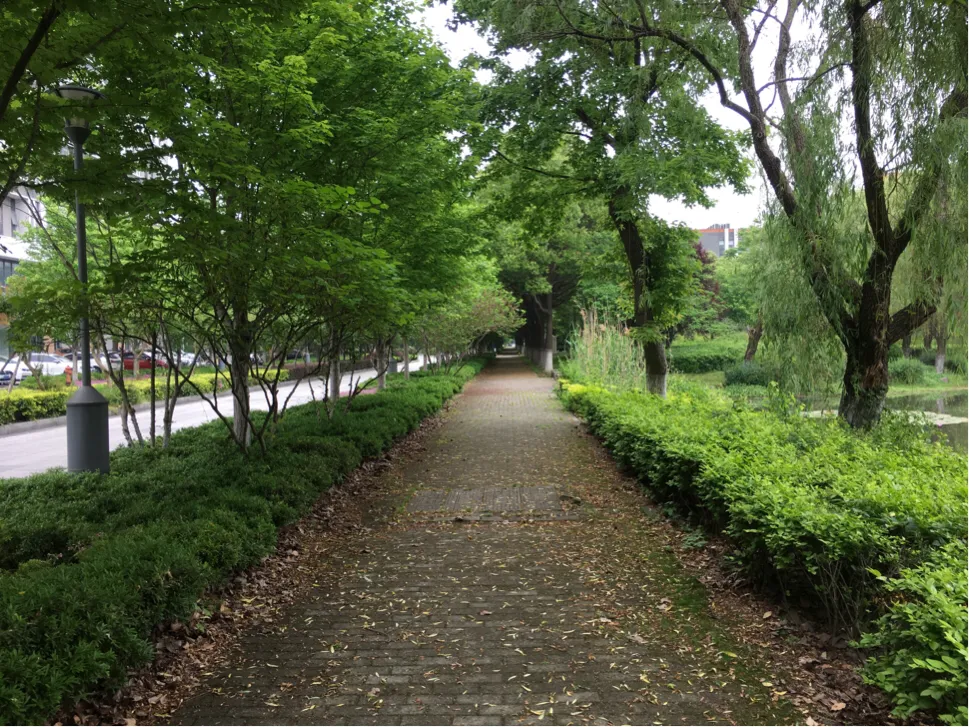 颜值这么高，是哪所高校呢？苏州大学独墅湖校区正在越变越美