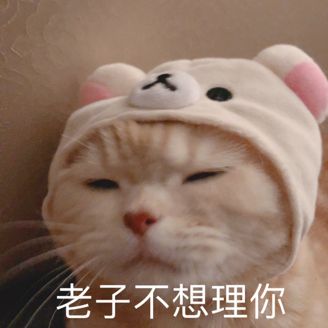 猫咪表情包​  生气专用表情包