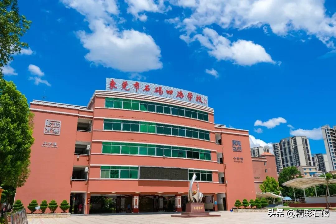 东莞私立学校学费多少（东莞市石碣四海学校2021年秋季学期招生简章）