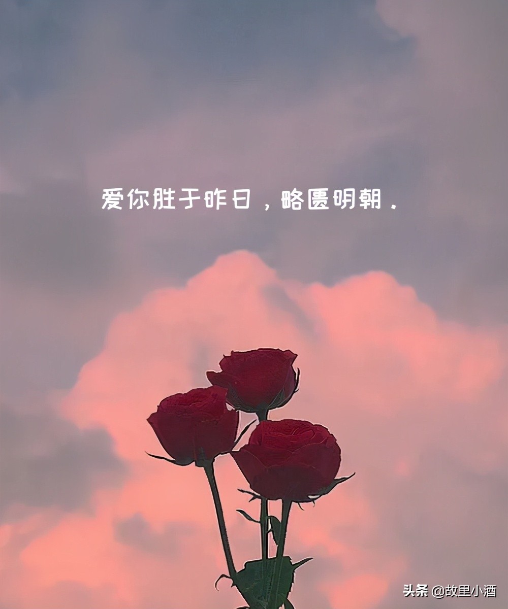 很浪漫的句子:我今生不思进取,只思你