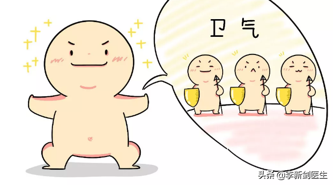 人体防卫系统-卫气