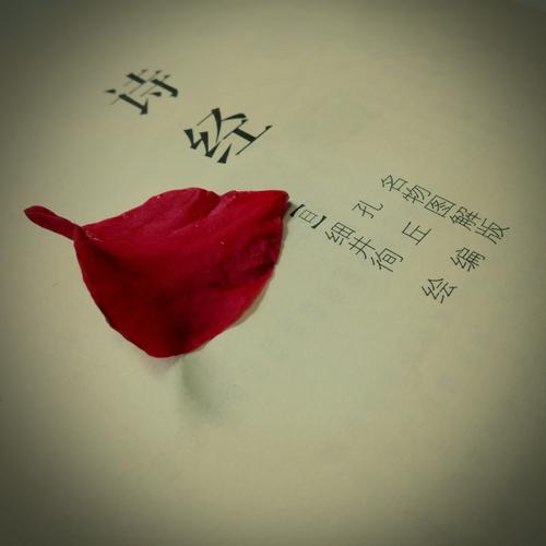 葳蕤鲜妍，草木葱茏映朝露，繁花似锦缀春风，生机盎然满庭芳。