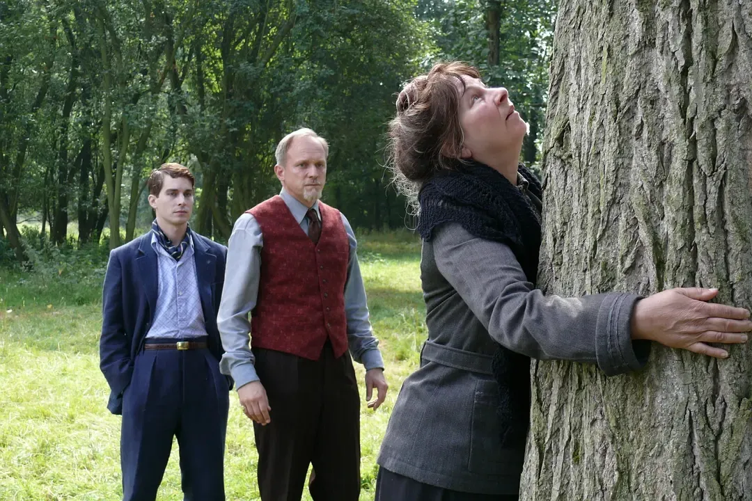 花落花开电影剧情「分析」 _晶羽科技