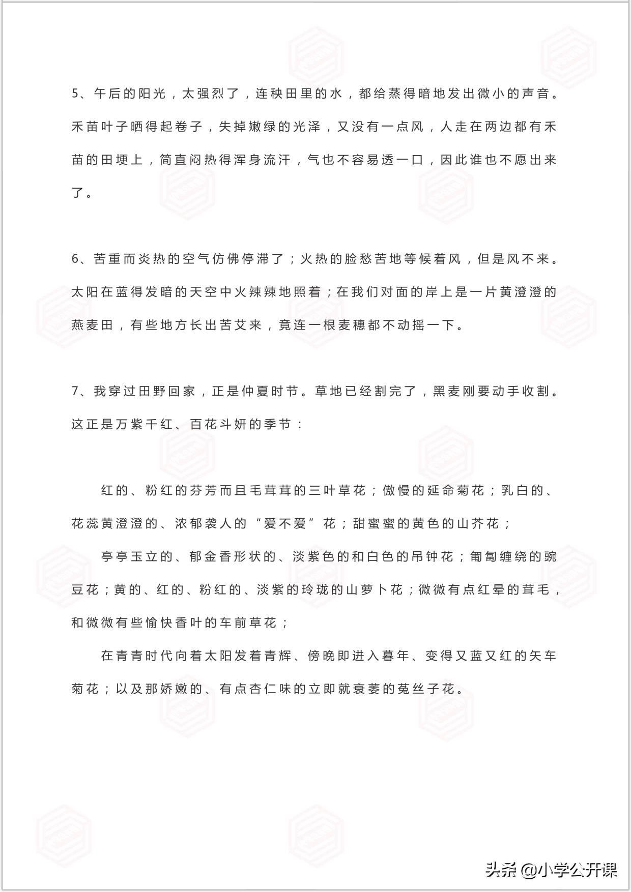 作文积累｜描写夏天的好句、成语、好段、好诗词（写作必备）