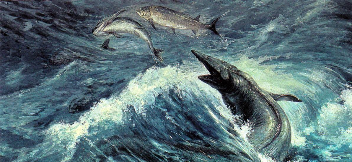 在海中争霸后,海王龙的战争开始蔓延到同类身上,同时海王龙的进化逐渐